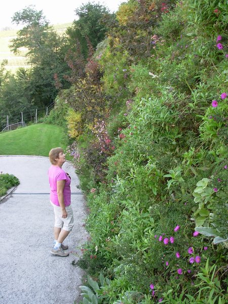 n_33 Trauttmansdorff.jpg